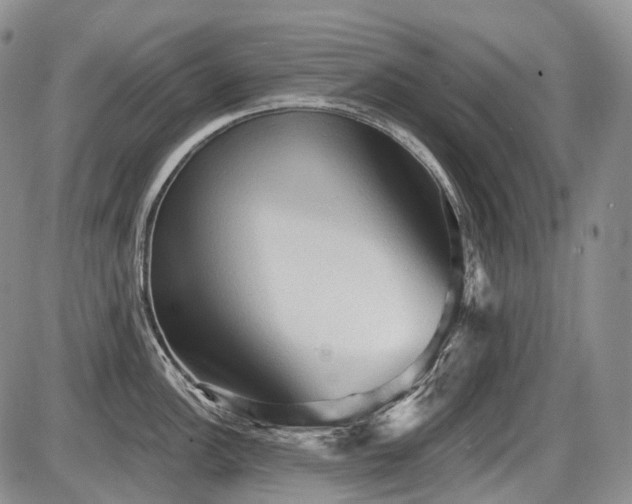 X0000087591148200704271301