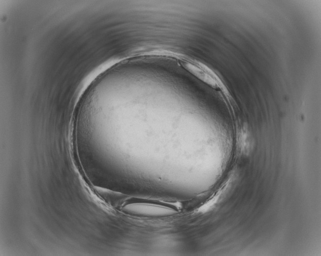 X0000087591149200704271301