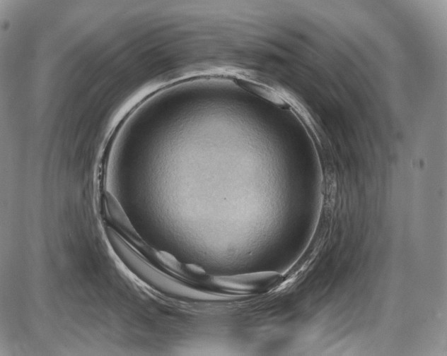 X0000087591151200704271301