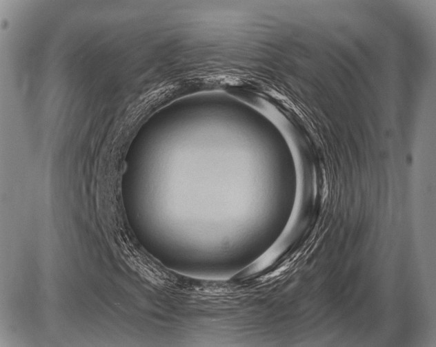 X0000087591153200704271300