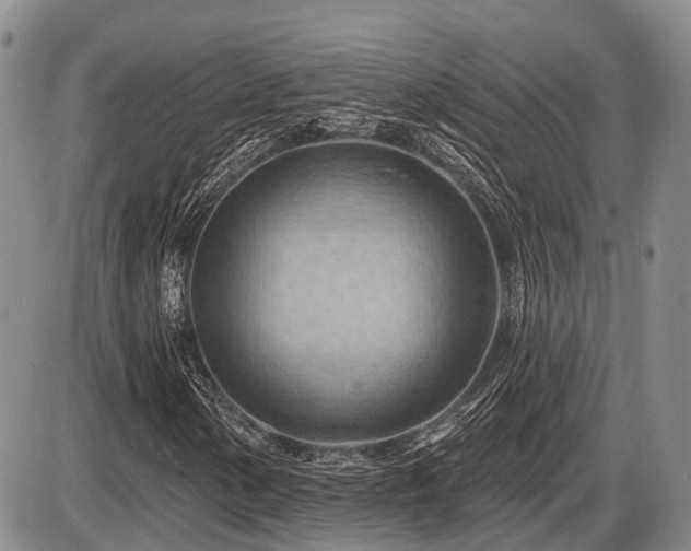 X0000087591154200704271300