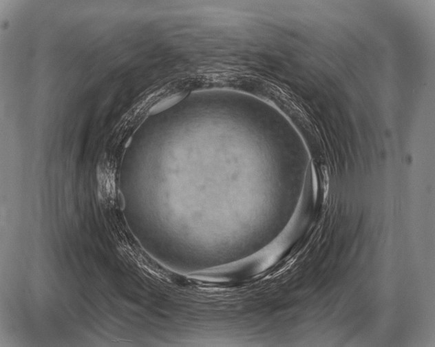 X0000087591155200704271300