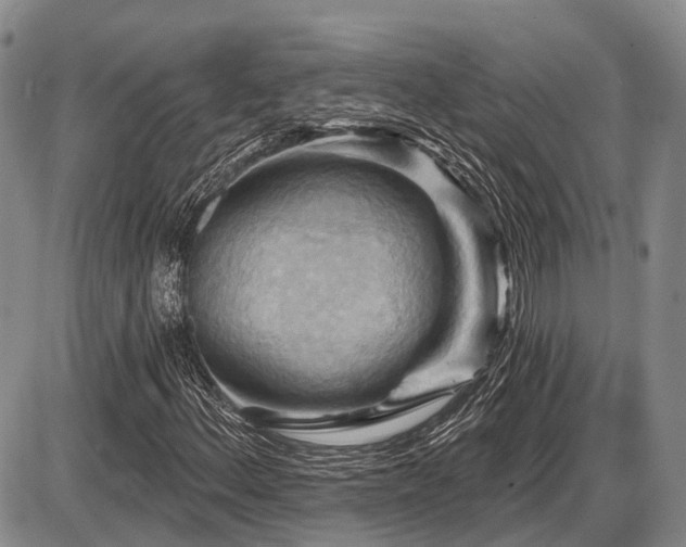 X0000087591156200704271300