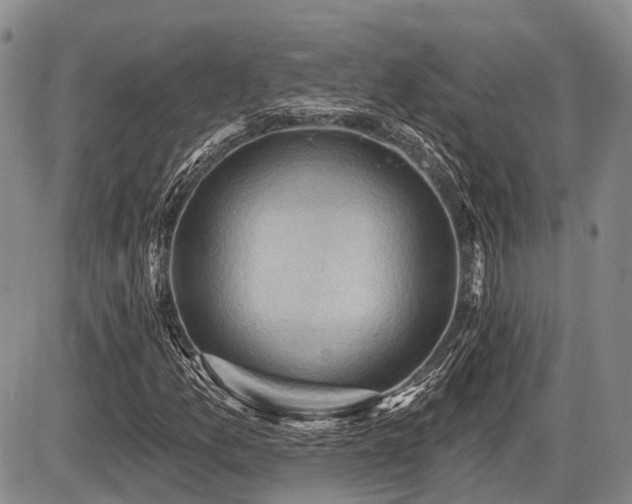 X0000087591157200704271300