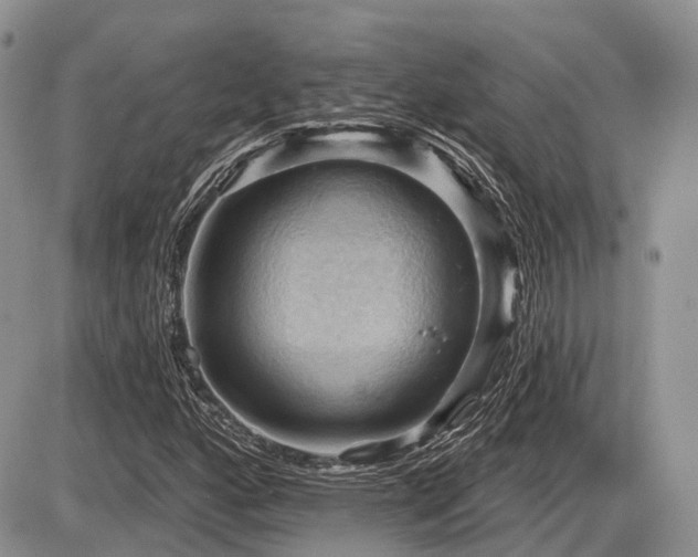 X0000087591160200704271300