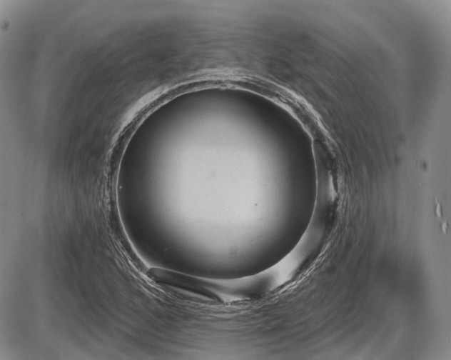 X0000087591168200704271300