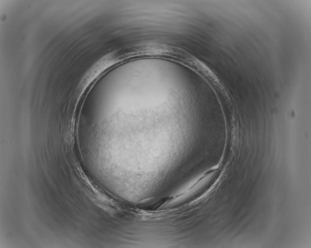 X0000087591178200704271300