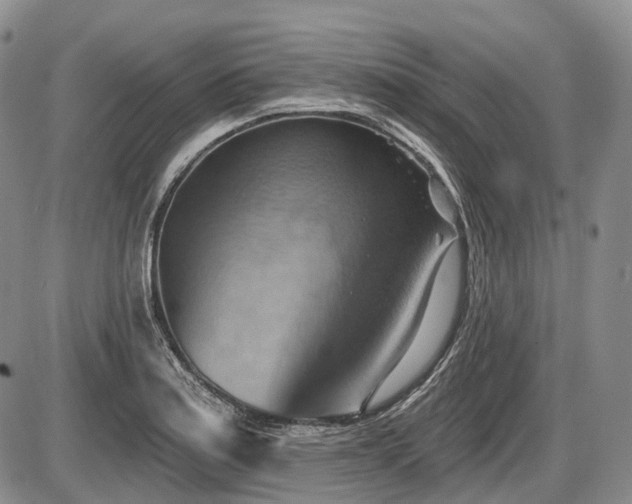 X0000087591179200704271300