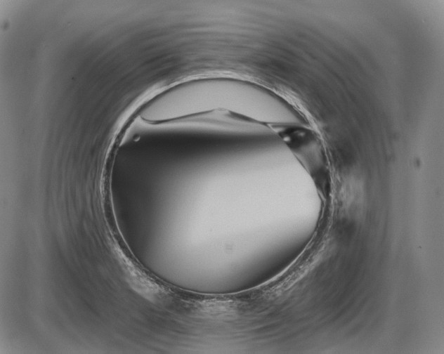 X0000087591181200704271300