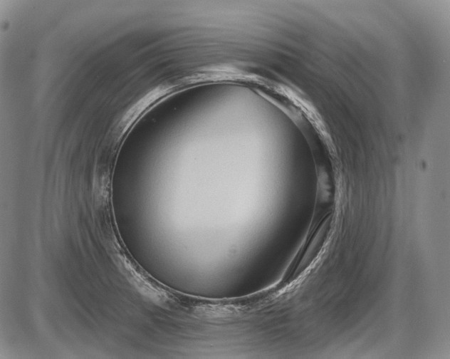 X0000087591185200704271259