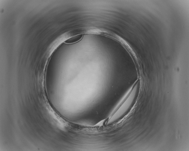 X0000087591194200704271259