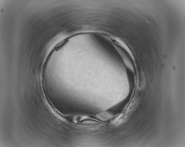X0000087591197200704271259