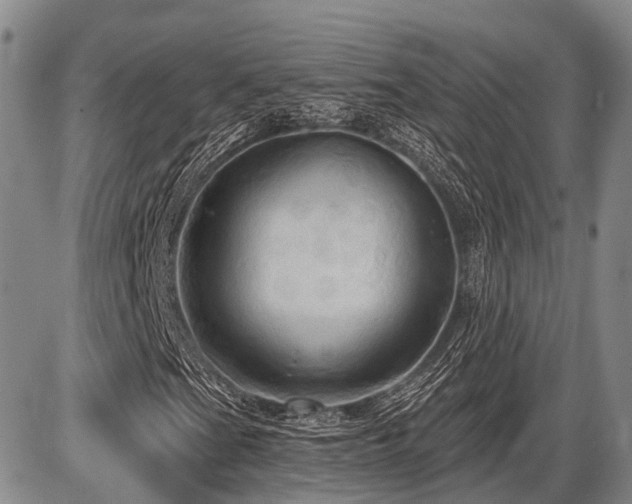 X0000087591201200704271258