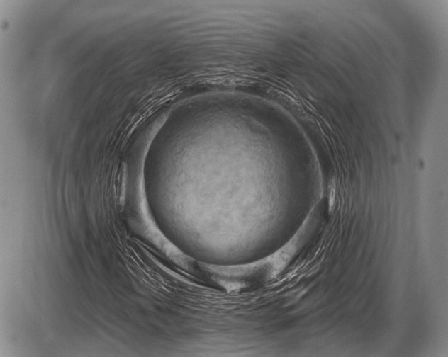 X0000087591202200704271258