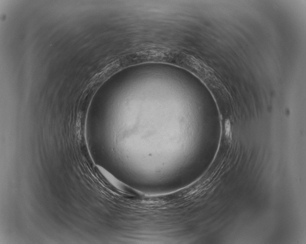 X0000087591203200704271258
