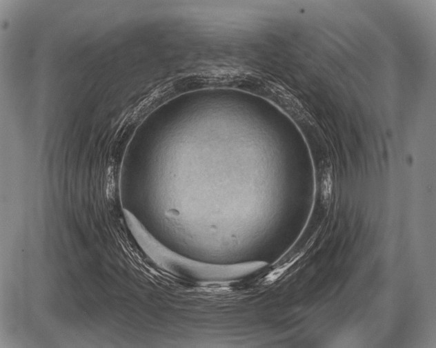 X0000087591204200704271259