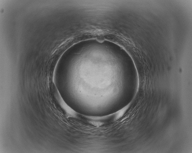 X0000087591205200704271259