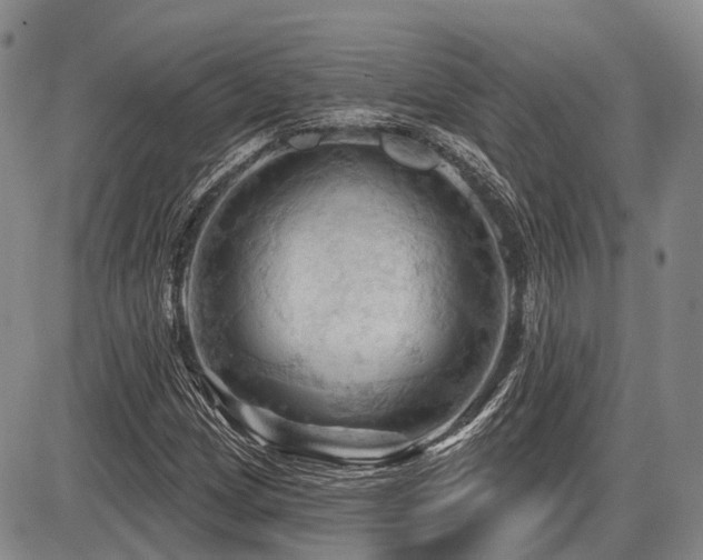 X0000087591209200704271259