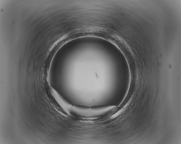 X0000087591210200704271259