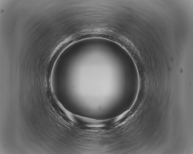X0000087591218200704271259