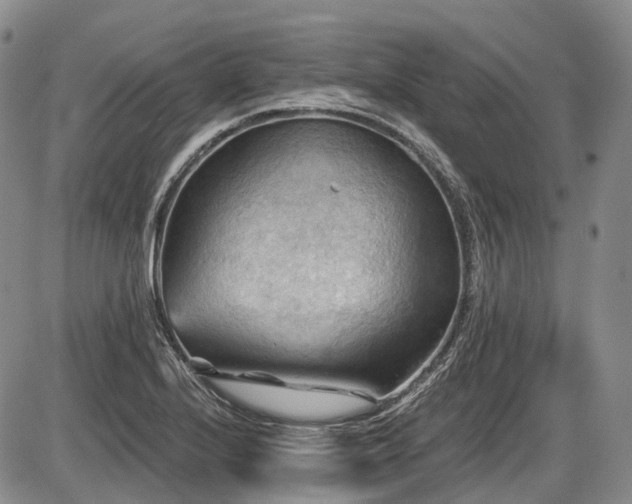 X0000087591224200704271259