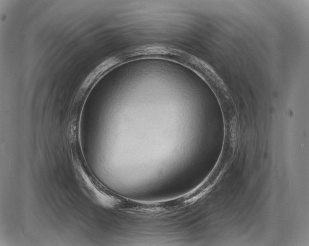 X0000087591225200704271259