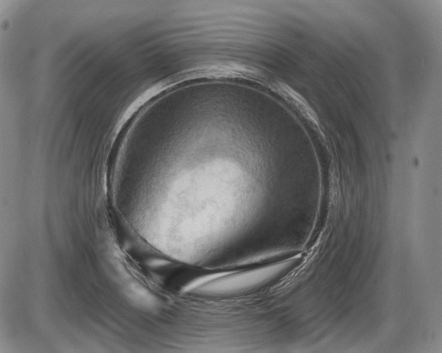 X0000087591226200704271259