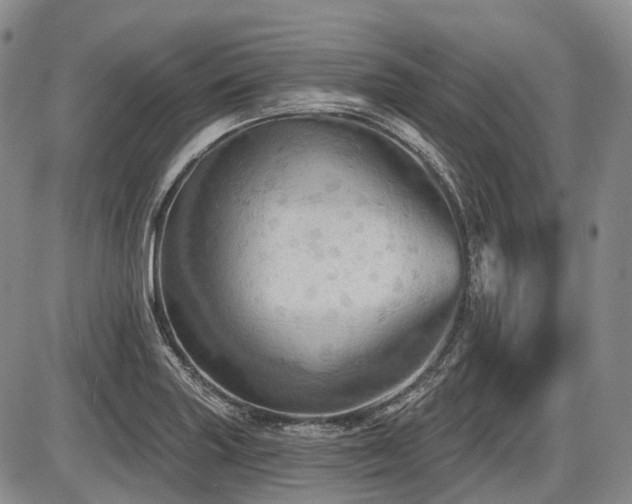 X0000087591227200704271259