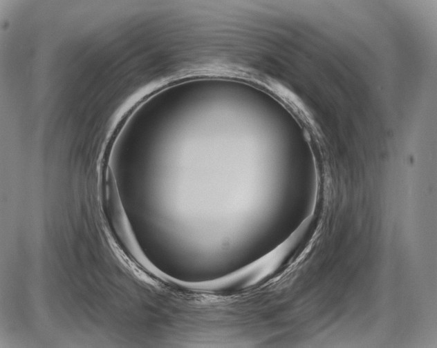 X0000087591238200704271259