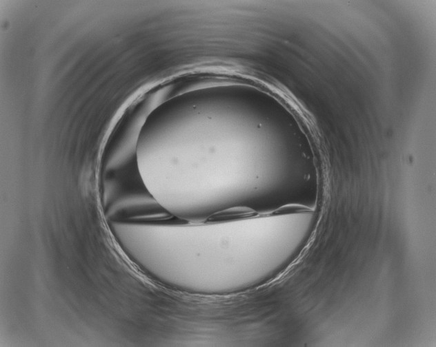 X0000087591240200704271259