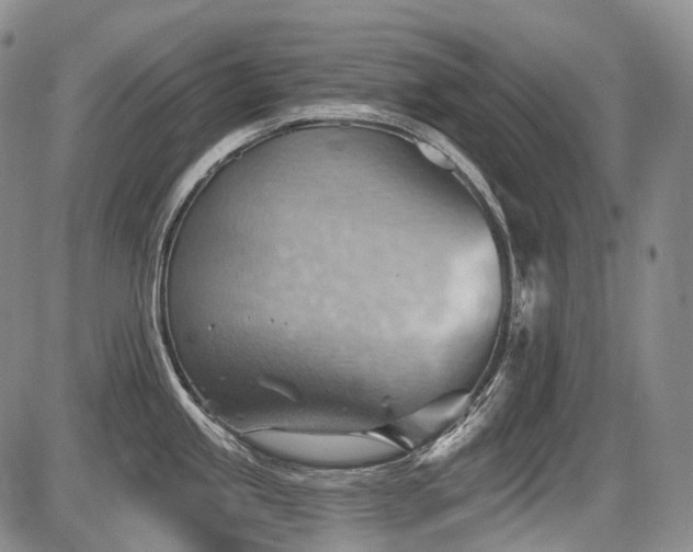 X0000087591245200704271259