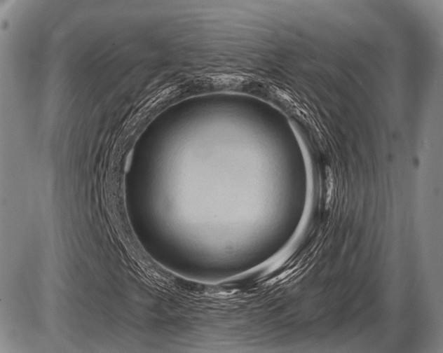 X0000087591249200704271258