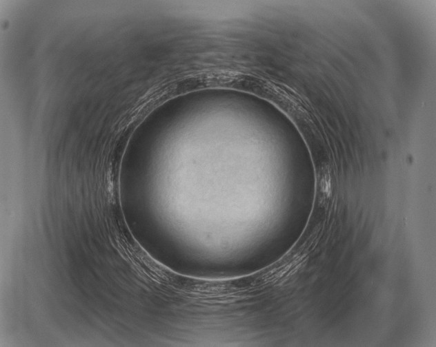 X0000087591252200704271258
