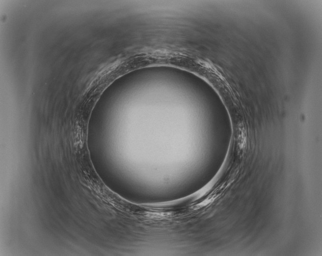 X0000087591253200704271258