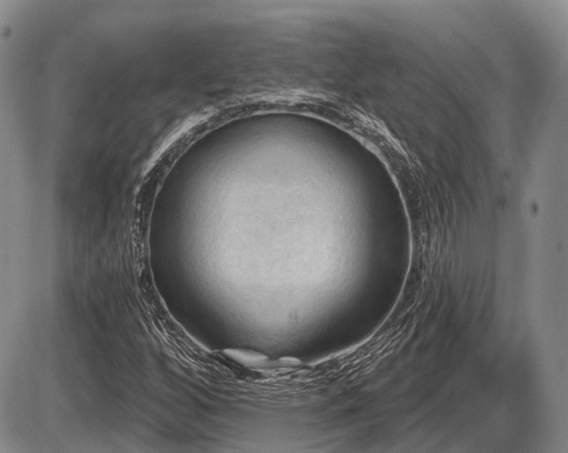 X0000087591256200704271258