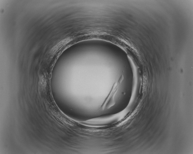 X0000087591257200704271258