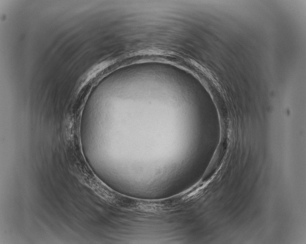 X0000087591258200704271258