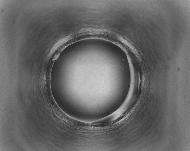 X0000087591261200704271258