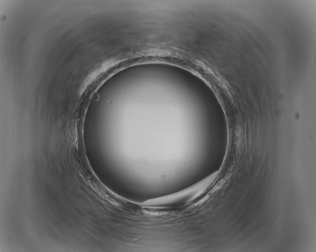 X0000087591262200704271258