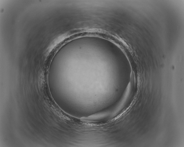 X0000087591263200704271258