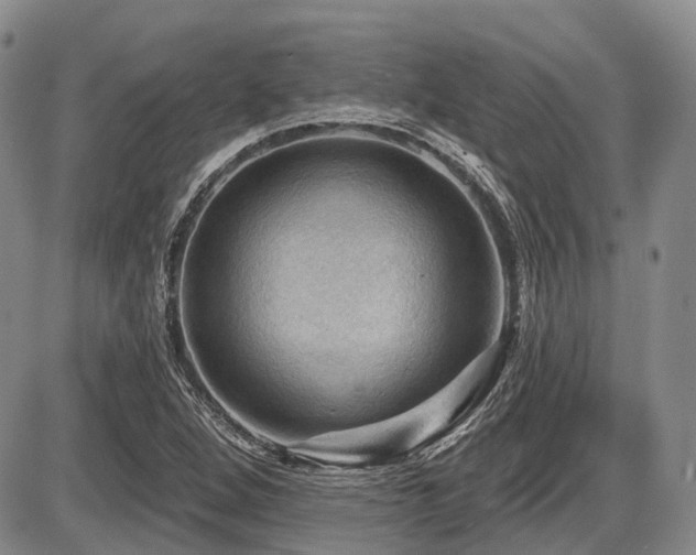 X0000087591264200704271258