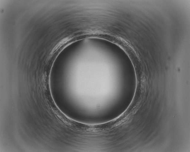 X0000087591265200704271258