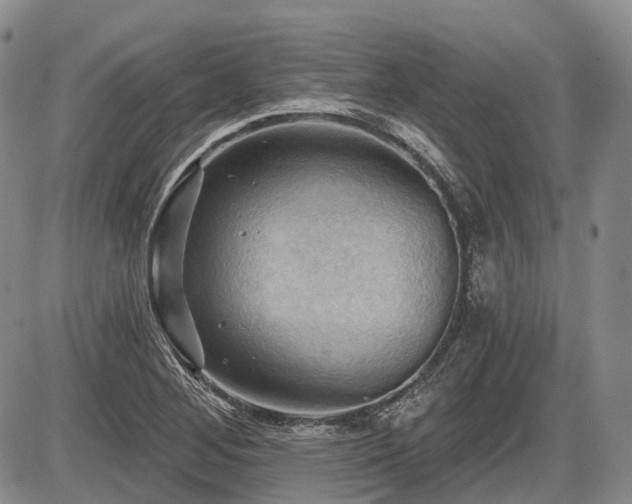 X0000087591268200704271258