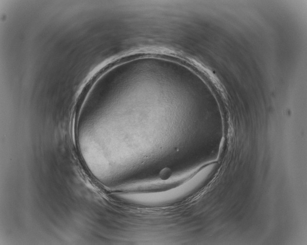 X0000087591272200704271258