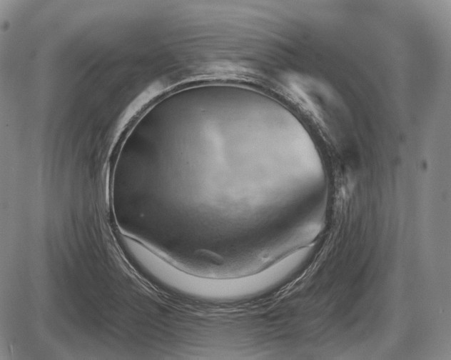 X0000087591275200704271258