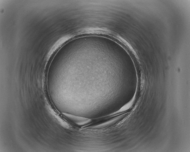 X0000087591277200704271258