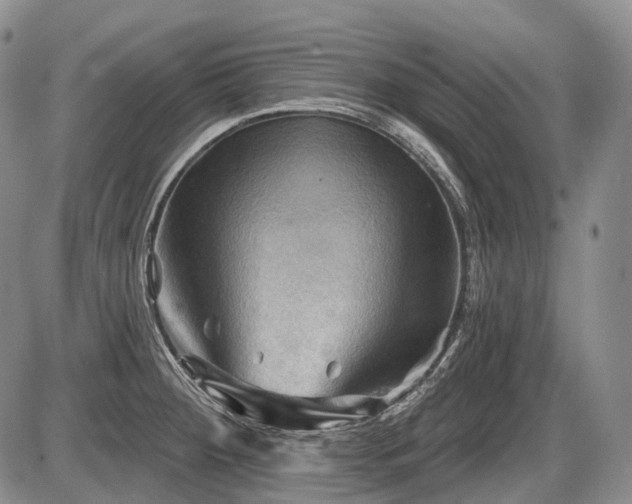 X0000087591284200704271258
