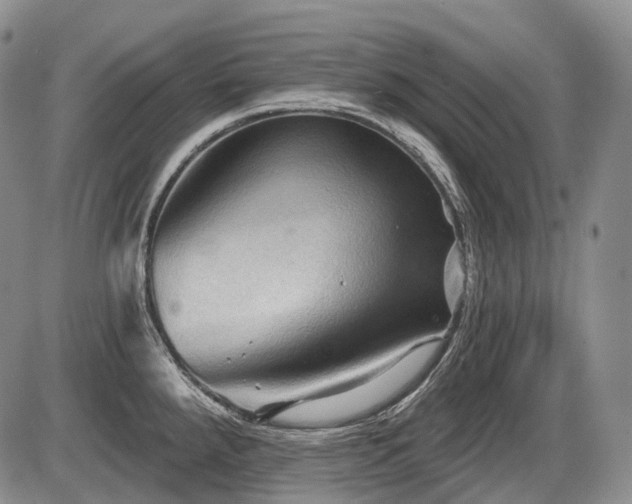 X0000087591288200704271258