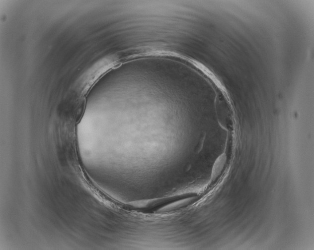 X0000087591289200704271258