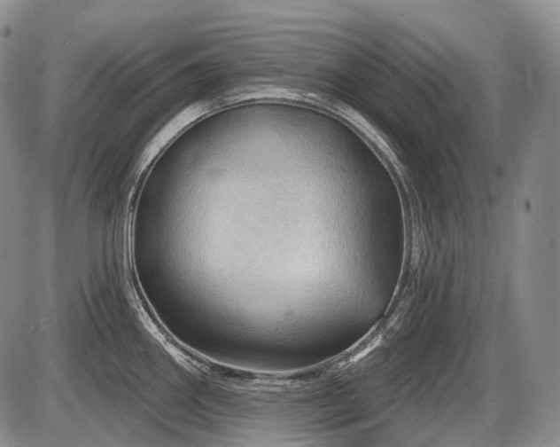 X0000087591290200704271258